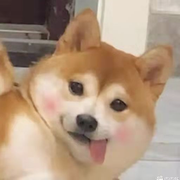 追梦路上的孩子的个人资料头像