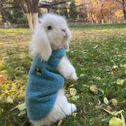 小七_雪球的个人资料头像