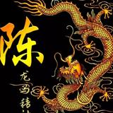 天黑请叫我瞎子头像