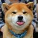 吴老狗狗狗丶松 · 星途凌云车主·车龄1年头像