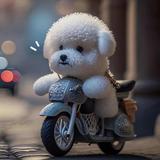陈年旧事152头像