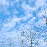 优秀的小语宝头像