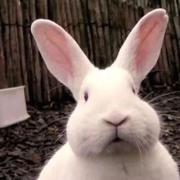 大头218的个人资料头像