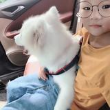 哈哈73313头像
