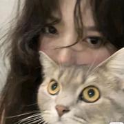 冰糖炖雪李875的个人资料头像