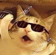 NahajubDC的个人资料头像