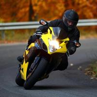 高兴皮蛋有头有尾头像