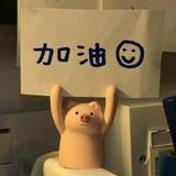 阿莎报道头像
