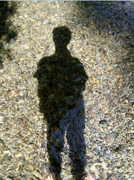 dengshifu的个人资料头像