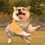 用户7997394453339头像
