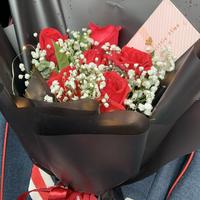 桐原丨亮司头像