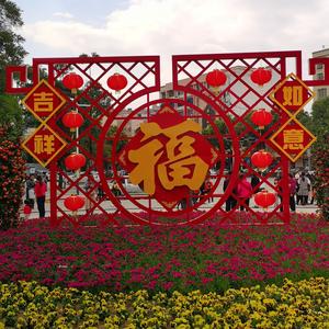 阳迎春头像