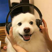 XmX的个人资料头像