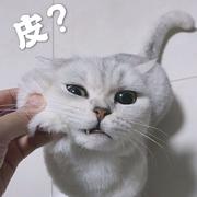 Z_Jun的个人资料头像