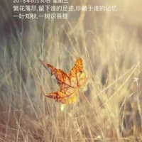 萧萧甜头像