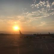 lh955的个人资料头像