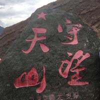 疯人院里的疯言疯语5Z8v头像