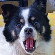 Wh的个人资料头像