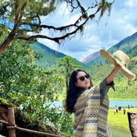 一只葡萄柚哇头像