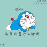 Mr张3735头像