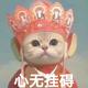 Arch无限头像