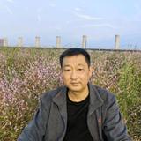 俊俏旭日tt头像