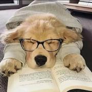 Alias希望的个人资料头像