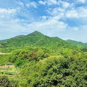 你好每一天的个人资料头像