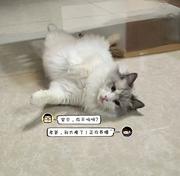 菲常入迷的个人资料头像