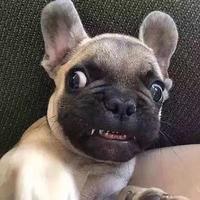 最爽不过雪碧头像