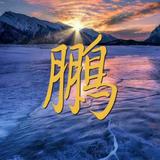 亲切香瓜VT头像