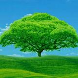 俊俏轮船OGs头像