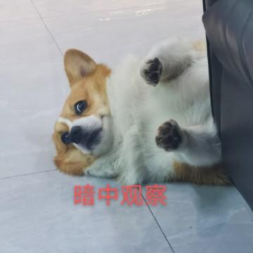 自在的潼先生头像