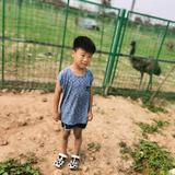 HJH—123123头像