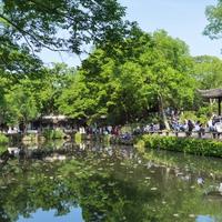 深圳百晓圣头像