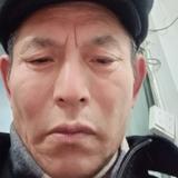 英明果断荷叶v3V头像