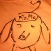 莫莫阿润的个人资料头像