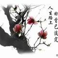 一生为一人462头像