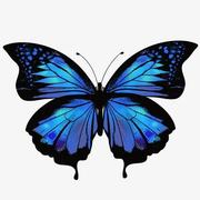 吉米多维奇先生的个人资料头像