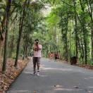 AL的个人资料头像