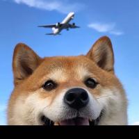 重度眼花缭乱患者头像