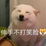 荒坂城头像