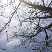 木棉575的个人资料头像