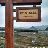 阿朝4521头像