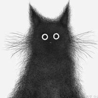 假装取个好名字头像