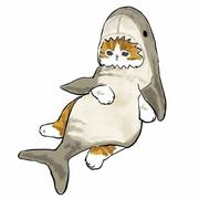 sans201的个人资料头像