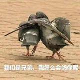 慈善福特蒙福野马头像