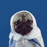 呜哩Tono头像