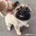 朕法头像
