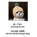 用户809359695581头像